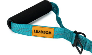 Thick Grip and Large Hook Dog Leash 6 Ft